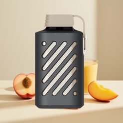 VOZOL GEAR 10000 Peach Mango Smoothie Disposable Vape