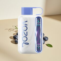 VOZOL STAR 40000 Puffs Blueberry Mint Disposable Vape
