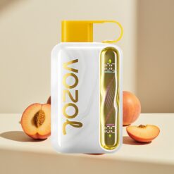 VOZOL STAR 40000 Puffs Mango Peach Disposable Vape