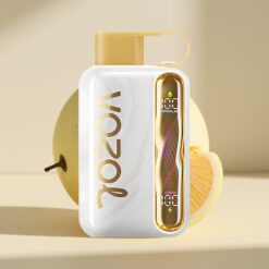 VOZOL STAR 40000 Puffs Melon Gum Disposable Vape
