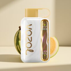 VOZOL STAR 40000 Puffs Melon Ice Disposable Vape