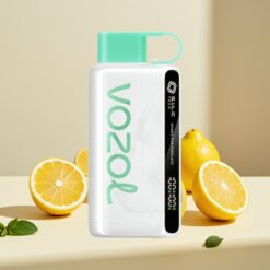 VOZOL STAR 9000/12000 Lemon Mint Recycled FastCharge