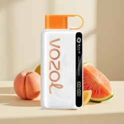 VOZOL STAR 9000/12000 Peach Mango Watermelon Recycled FastCharge
