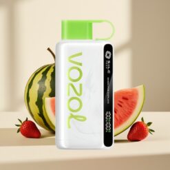 VOZOL STAR 9000/12000 Strawberry Watermelon Recycled FastCharge