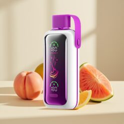 VOZOL Star 20000 Peach Mango Watermelon Disposable Vape