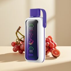 VOZOL Star 20000 Puffs Grape Ice Dual Mesh
