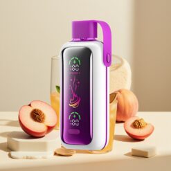 VOZOL Star 20000 Puffs Peach Ice Dual Mesh