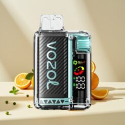 VOZOL Vista 20000 Puffs Miami Mint Rechargeable OLED 650mAh