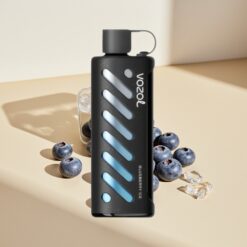 Vozol Gear Shisha 25000 Puffs Blueberry Ice Disposable Vape