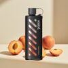 Vozol Gear Shisha 25000 Puffs Mango Peach Dual Mesh