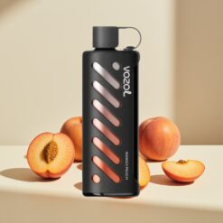 Vozol Gear Shisha 25000 Puffs Mango Peach Dual Mesh