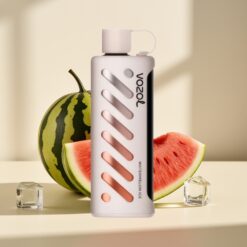 Vozol Gear Shisha 25000 Puffs Watermelon Ice Disposable Vape